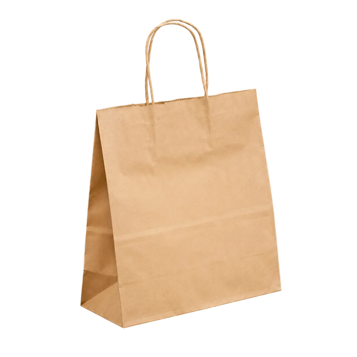 BOLSA KRAFT 22X10X25 MANILLA TORCIDA - 14060607