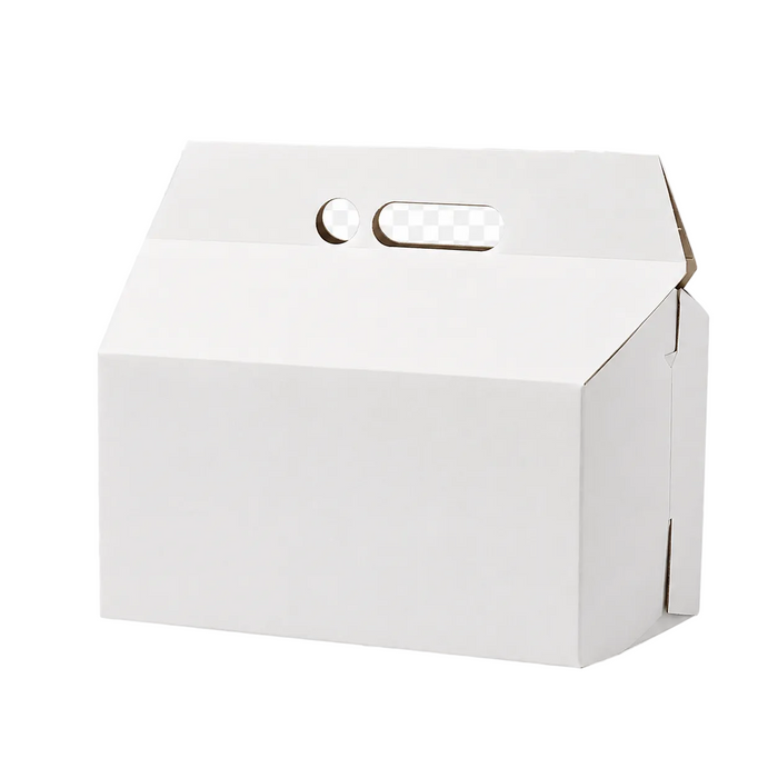 CAJA POLLO BLANCA - 16101000