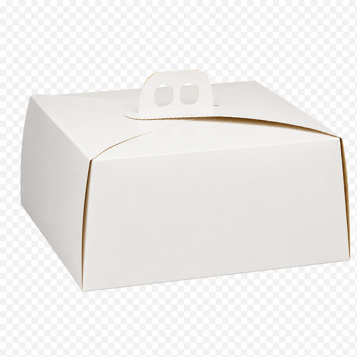 CAJA DE TORTA EXTRA GRANDE BLANCA