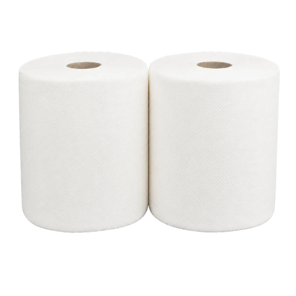 TOALLA PAPEL 250X2